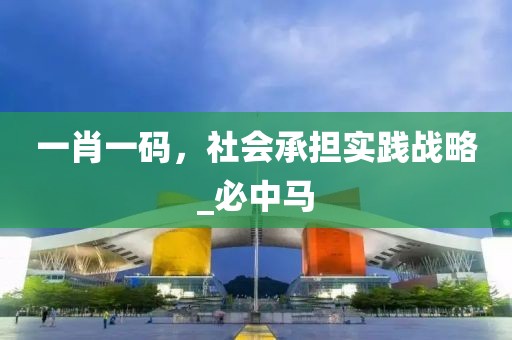 一肖一码，社会承担实践战略_必中马