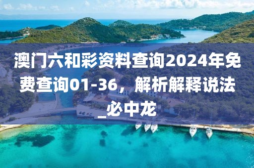澳门六和彩资料查询2024年免费查询01-36，解析解释说法_必中龙