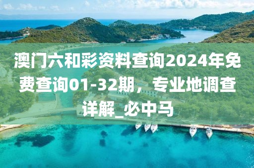 澳门六和彩资料查询2024年免费查询01-32期，专业地调查详解_必中马