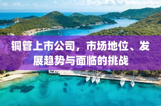 铜管上市公司，市场地位、发展趋势与面临的挑战