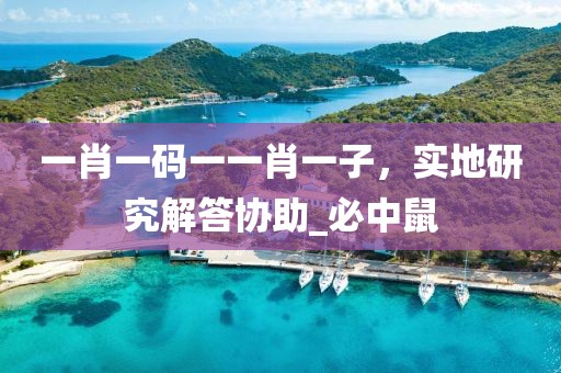 一肖一码一一肖一子，实地研究解答协助_必中鼠