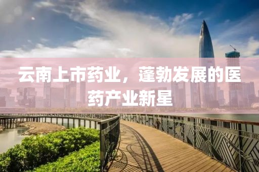 云南上市药业，蓬勃发展的医药产业新星
