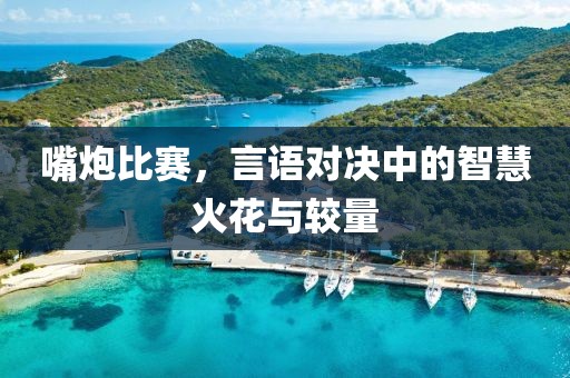 嘴炮比赛，言语对决中的智慧火花与较量
