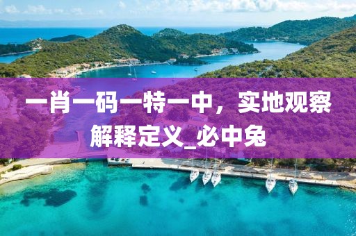 一肖一码一特一中，实地观察解释定义_必中兔