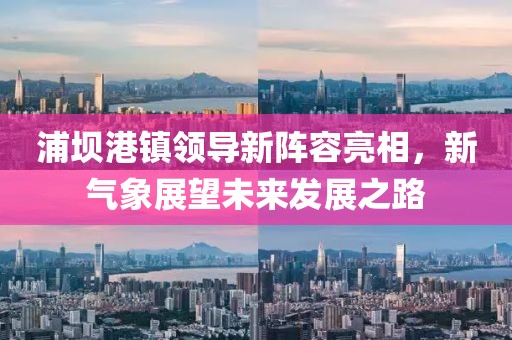 浦坝港镇领导新阵容亮相，新气象展望未来发展之路