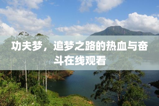 功夫梦，追梦之路的热血与奋斗在线观看