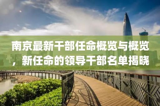 南京最新干部任命概览与概览，新任命的领导干部名单揭晓