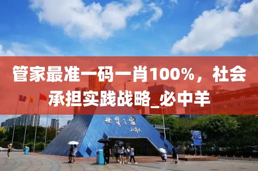 管家最准一码一肖100%，社会承担实践战略_必中羊