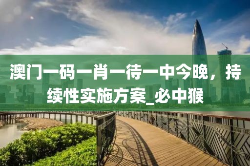 澳门一码一肖一待一中今晚，持续性实施方案_必中猴