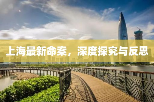 上海最新命案，深度探究与反思