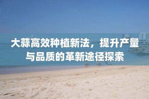 大蒜高效种植新法，提升产量与品质的革新途径探索