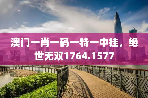 澳门一肖一码一特一中挂，绝世无双1764.1577