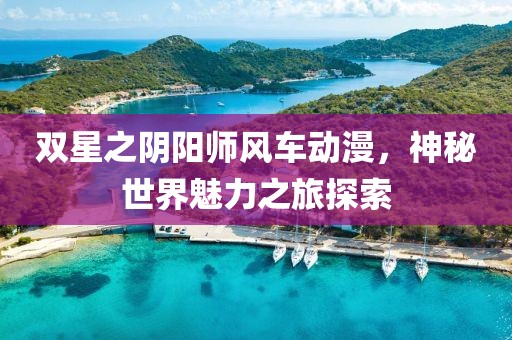 双星之阴阳师风车动漫，神秘世界魅力之旅探索