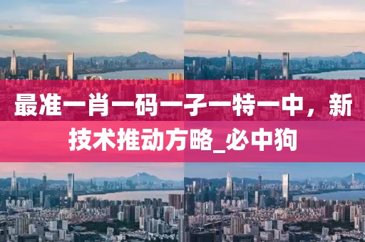 最准一肖一码一孑一特一中，新技术推动方略_必中狗