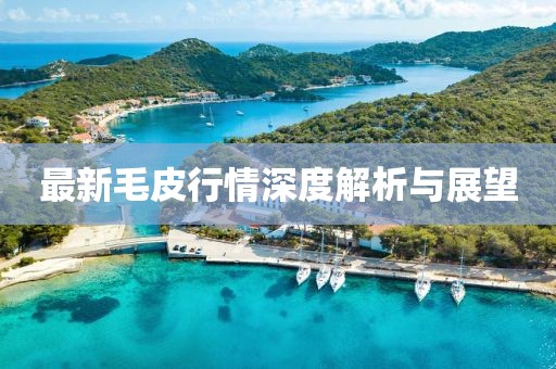 最新毛皮行情深度解析与展望