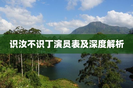 识汝不识丁演员表及深度解析