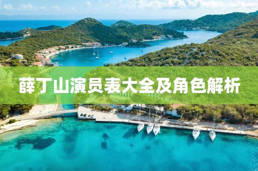 薛丁山演员表大全及角色解析