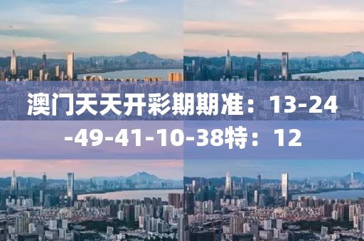 澳门天天开彩期期准：13-24-49-41-10-38特：12