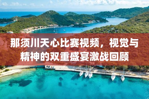 那须川天心比赛视频，视觉与精神的双重盛宴激战回顾
