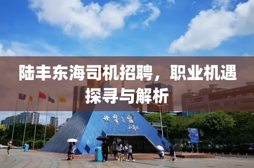 陆丰东海司机招聘，职业机遇探寻与解析
