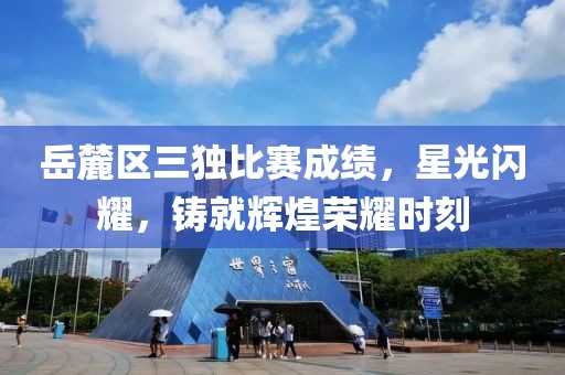 岳麓区三独比赛成绩，星光闪耀，铸就辉煌荣耀时刻