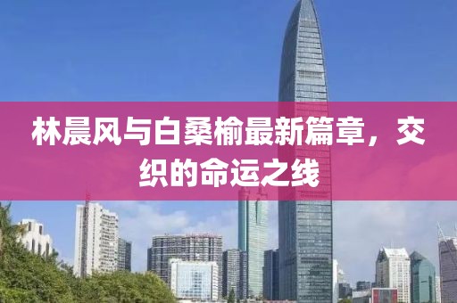 林晨风与白桑榆最新篇章，交织的命运之线