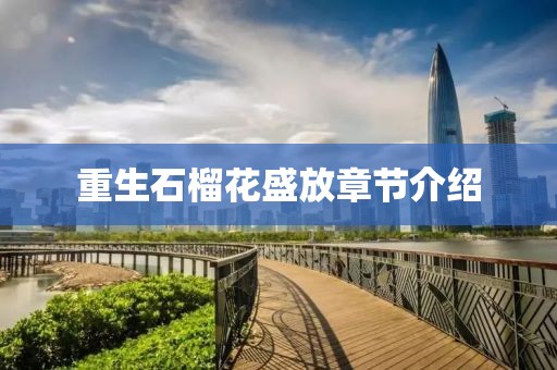 重生石榴花盛放章节介绍