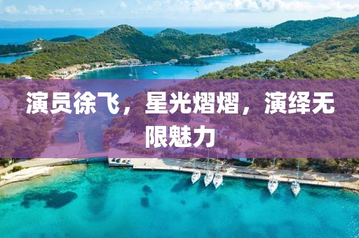 演员徐飞，星光熠熠，演绎无限魅力