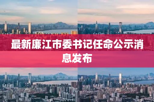 最新廉江市委书记任命公示消息发布