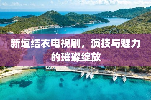新垣结衣电视剧，演技与魅力的璀璨绽放