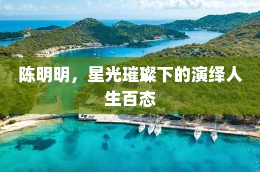 陈明明，星光璀璨下的演绎人生百态