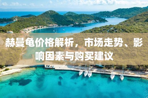 赫曼龟价格解析，市场走势、影响因素与购买建议