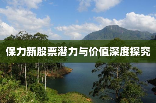 保力新股票潜力与价值深度探究