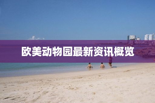 新闻资讯 第404页