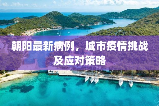 朝阳最新病例，城市疫情挑战及应对策略