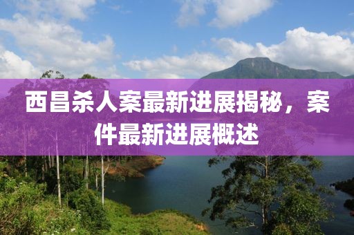 西昌杀人案最新进展揭秘，案件最新进展概述