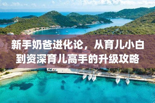 新手奶爸进化论，从育儿小白到资深育儿高手的升级攻略