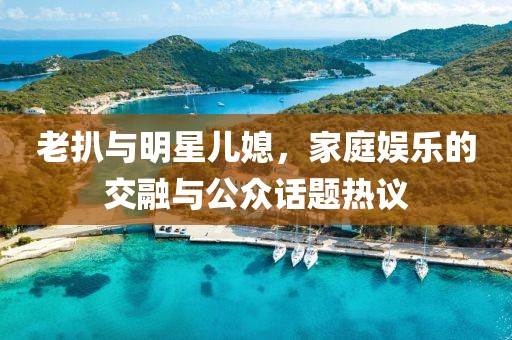老扒与明星儿媳，家庭娱乐的交融与公众话题热议