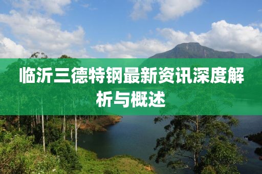 临沂三德特钢最新资讯深度解析与概述
