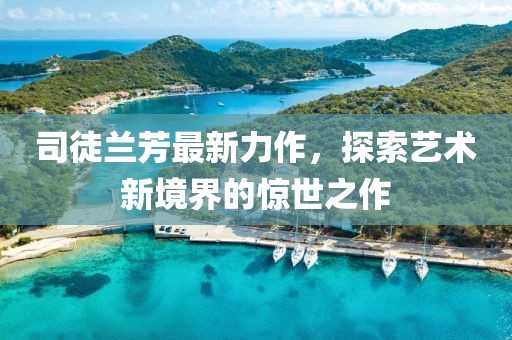 司徒兰芳最新力作，探索艺术新境界的惊世之作