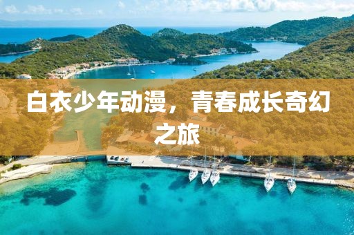 白衣少年动漫，青春成长奇幻之旅