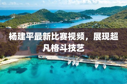 杨建平最新比赛视频，展现超凡格斗技艺