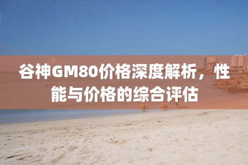 谷神GM80价格深度解析，性能与价格的综合评估