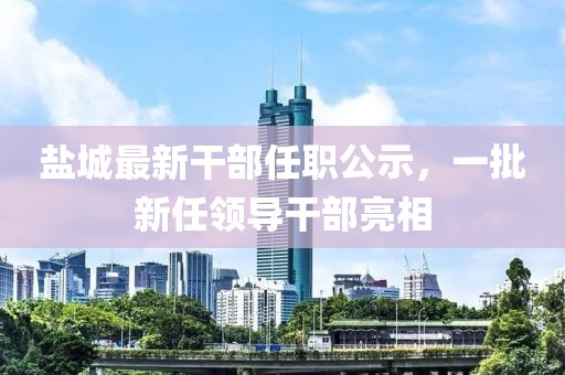 纵横藏锋 第4页