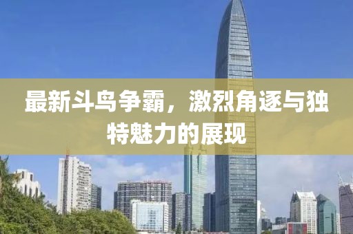 最新斗鸟争霸，激烈角逐与独特魅力的展现