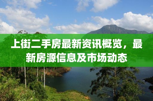 上街二手房最新资讯概览，最新房源信息及市场动态