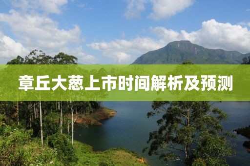章丘大葱上市时间解析及预测