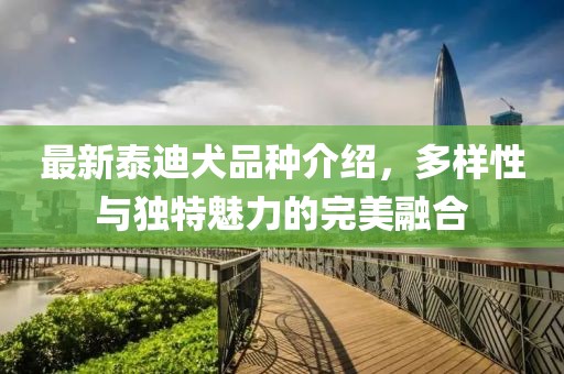 最新泰迪犬品种介绍，多样性与独特魅力的完美融合