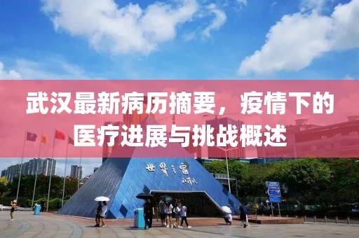 武汉最新病历摘要，疫情下的医疗进展与挑战概述
