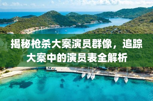 揭秘枪杀大案演员群像，追踪大案中的演员表全解析